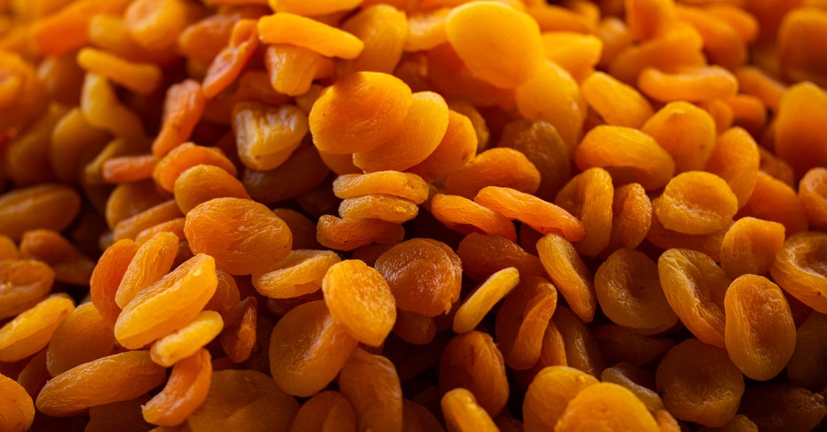 Apricot Farming in India 2026: Cost, Profit, Varieties & Guide | Farmer.in