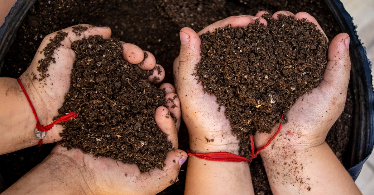 Vermicompost, one of the best all-round organic fertilizers for Indian farms